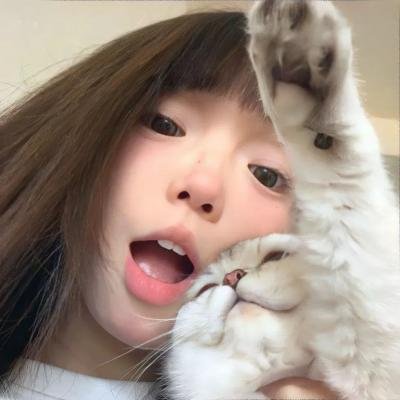社会